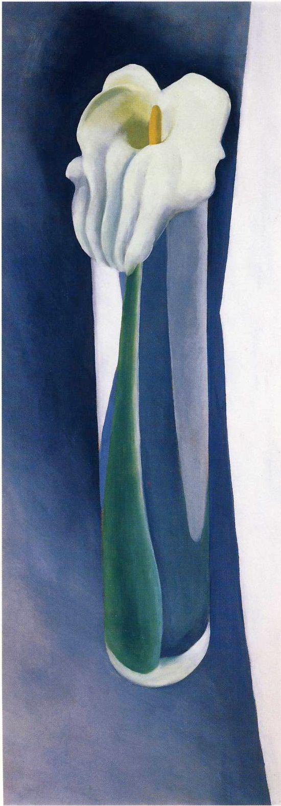 Calla Lily in Tall Glass II