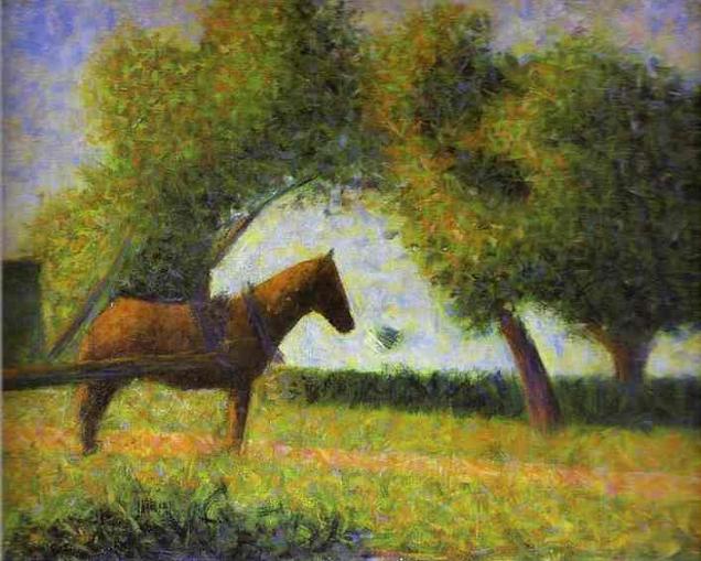 Horse in a Field