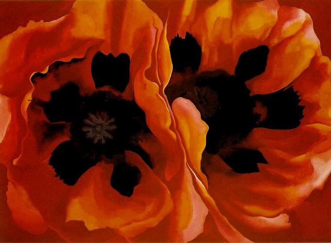 Oriental Poppies