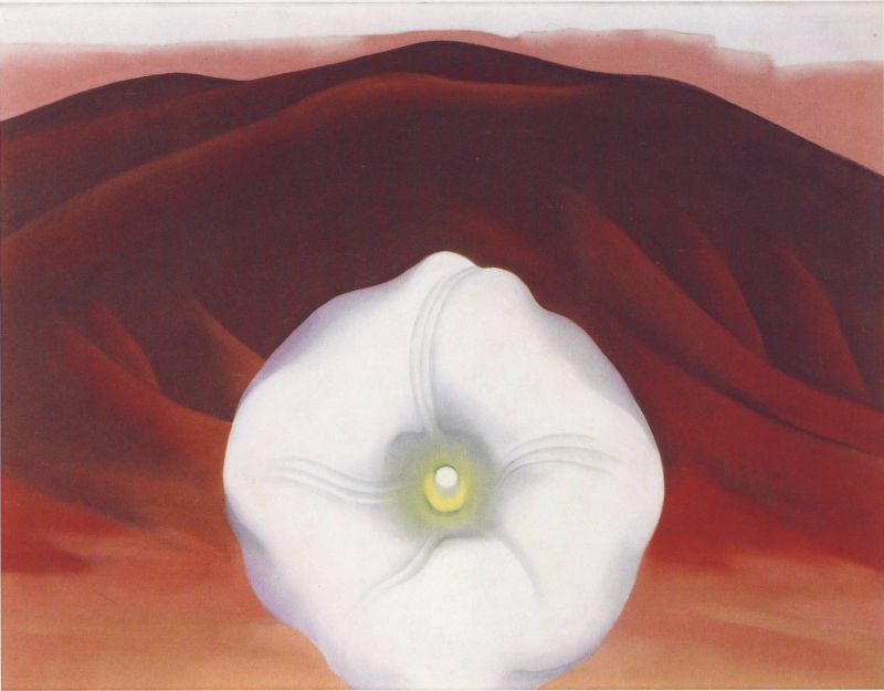 Red Hills with White Flower