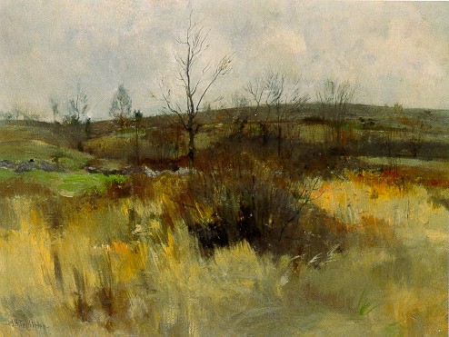 Landscape