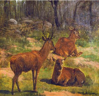 Deer at Fountainebleau