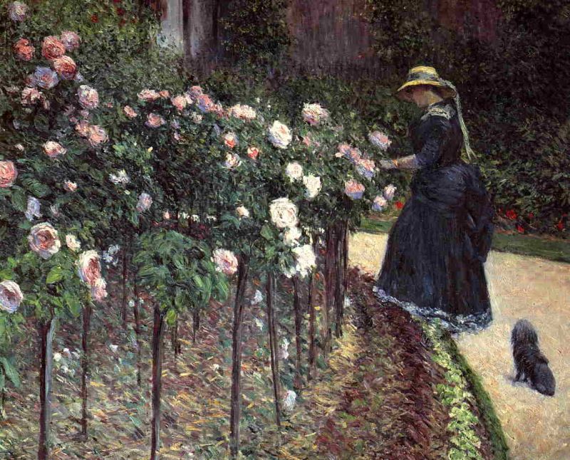 Roses, Garden at Petit Gennevilliers