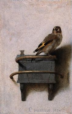 The Goldfinch