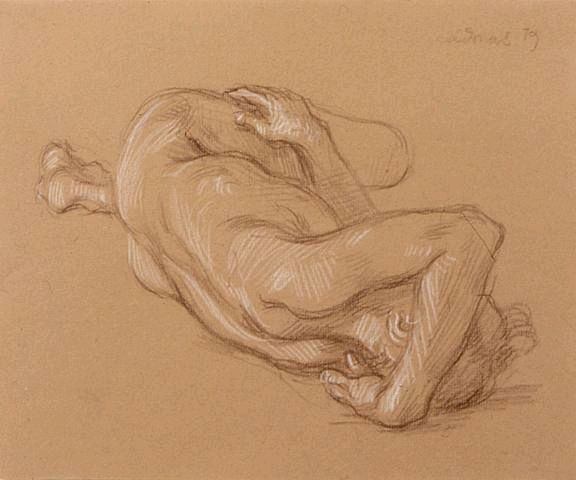 Reclining Male Nude