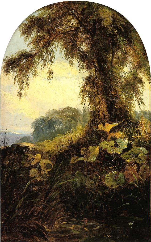 Summer Landscape