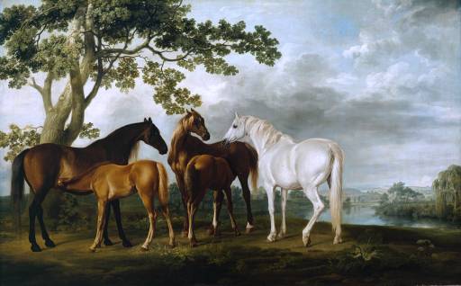 Mares And Foals In A River Landscape