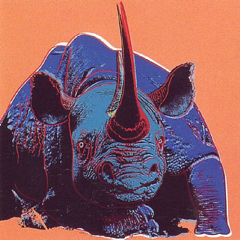 Black Rhinoceros