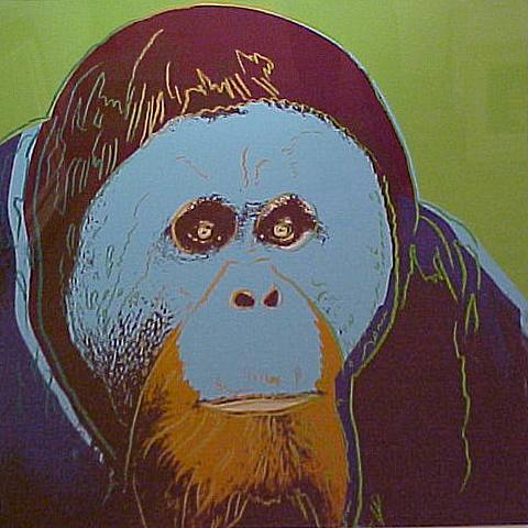 Orangutan by Rita Goldner