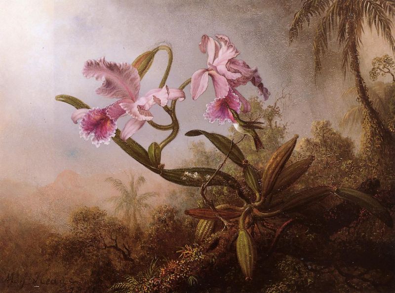 Orchids and Hummingbird