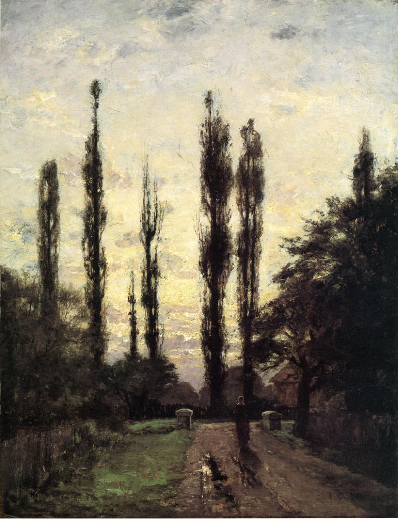 Evening, Poplars