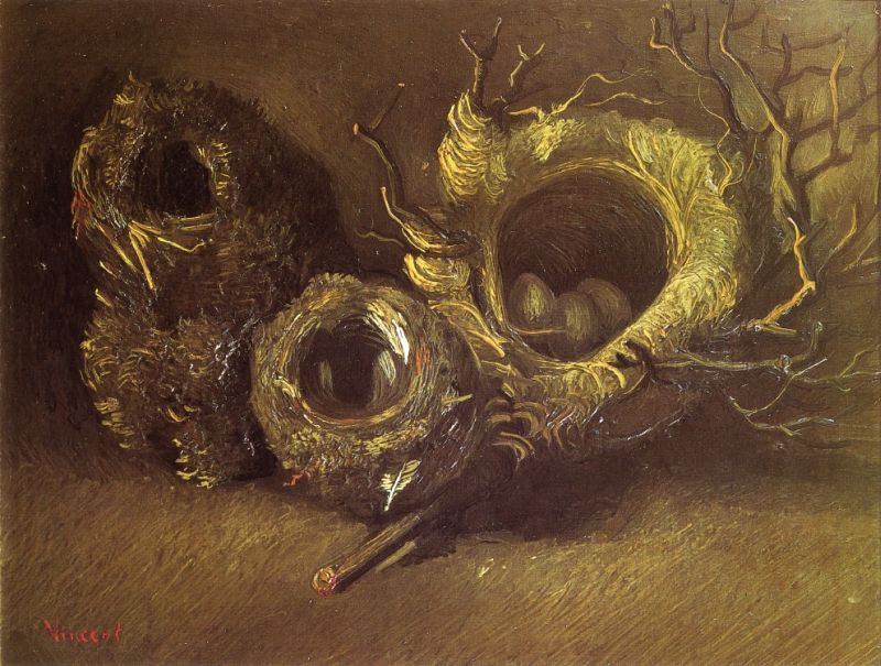 Still Life with Three Birds&#39; Nests