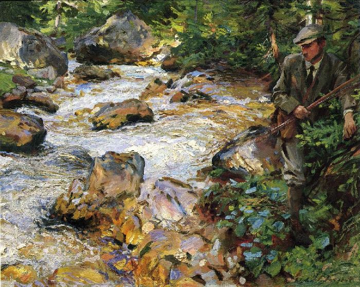 Trout Stream in the Tyrol