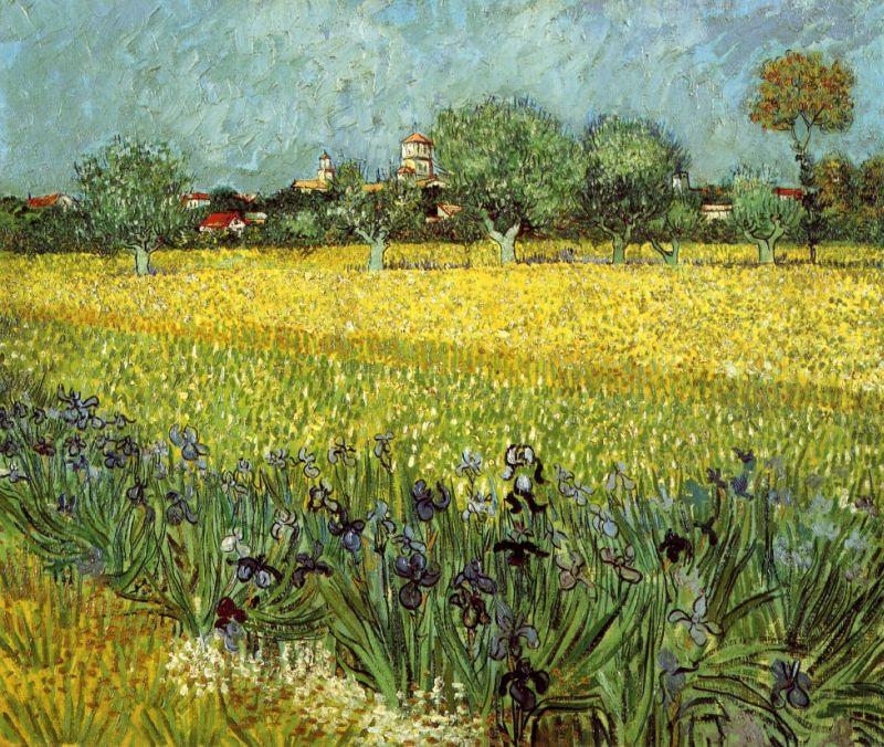 View of Arles with Irises