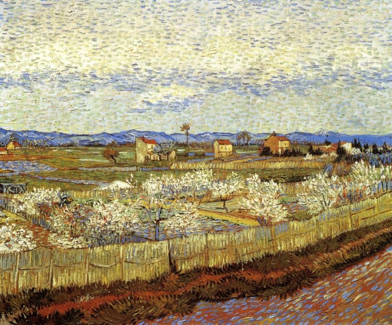 La Crau with Peach Trees in Bloom