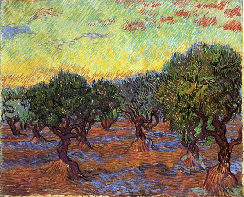 Olive Grove