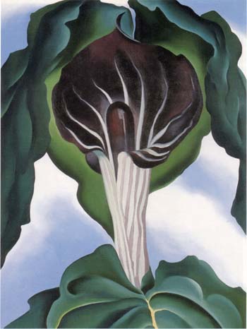 Georgia OKeeffe Jack in the Pulpit 3