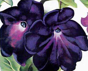 Georgia OKeeffe Black and Purple Petunias