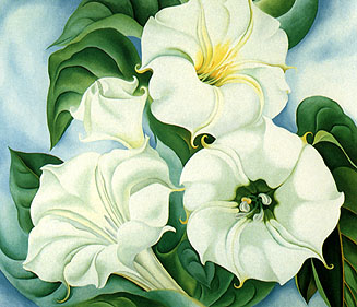 Georgia OKeeffe Jimson Weed 1936