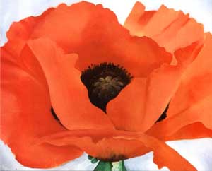 Georgia OKeeffe Red Poppy