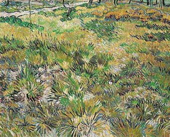 Vincent van Gogh Long Grass with Butterflies