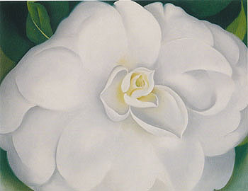 Georgia OKeeffe A White Camelia 1938