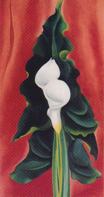 Georgia OKeeffe Calla Lilies on Red 1928