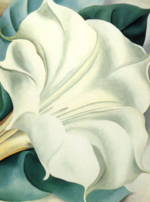 Georgia OKeeffe White Trumpet Flower 1932