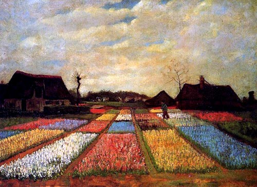 Bulb Fields