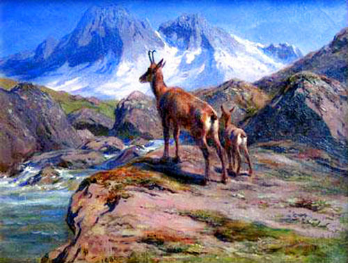 Chamois Mother and Baby, 1888