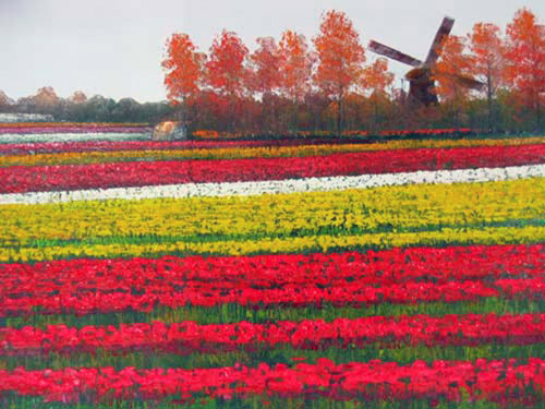 Field of Colors