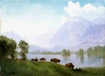 Albert bierstadt Buffalo Country