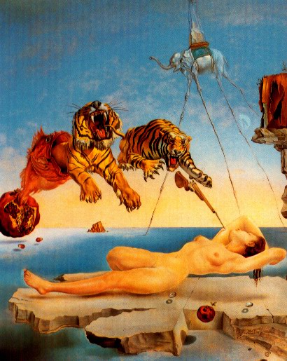 Salvador Dali Dream caused by the flight bee