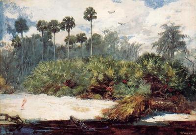 Winslow Homer In a Florida Jungle