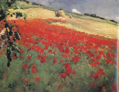 Landscape with Poppies (nn02)