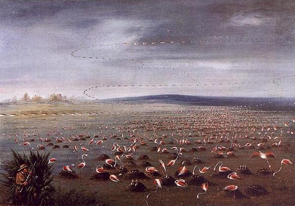 Ambush for Flamingoes