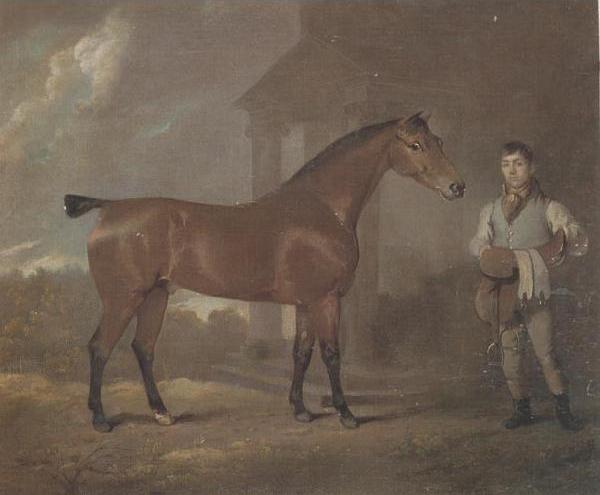 The Racehorse Woodpecker in a stall