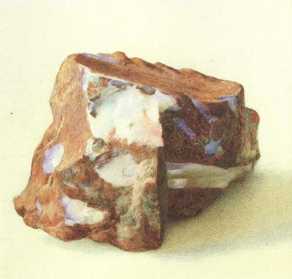 A Study of Opal in Ferrugineous jasper from New Guinea (mk46)