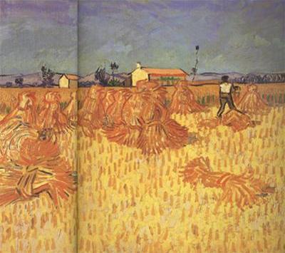 Harvest in Provence (nn04)