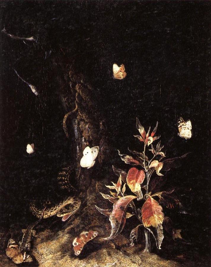 Reptiles,Butterflies,and Plants at the Base of a Tree