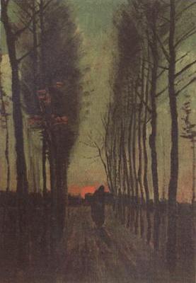 Avenue of Poplars at Sunset (nn04)