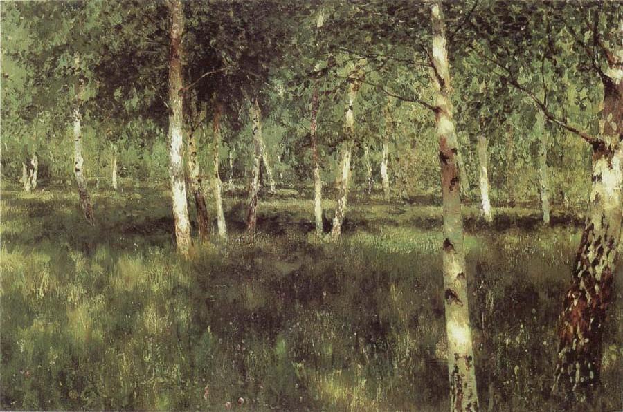 Birch Plantation