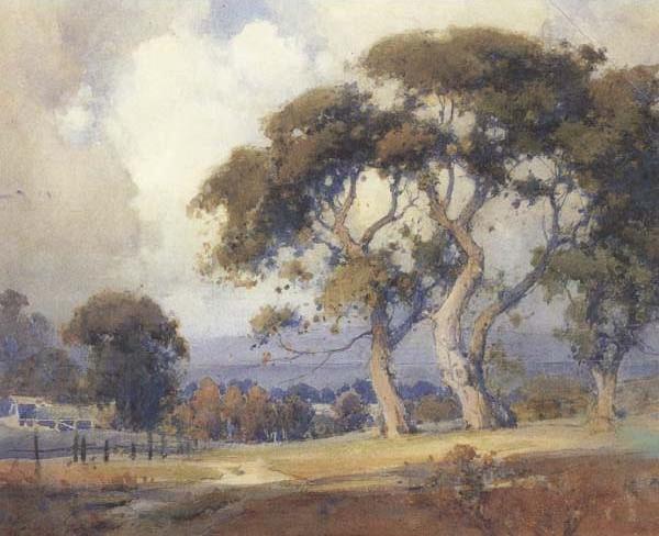 Oaks in a California Landscape