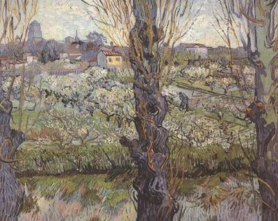 Orchard in Blossom with View of Arles (nn04)