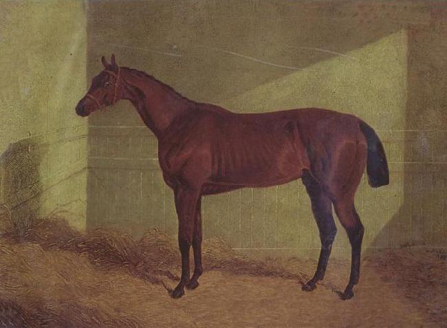 Margrave Winner of the st Leger