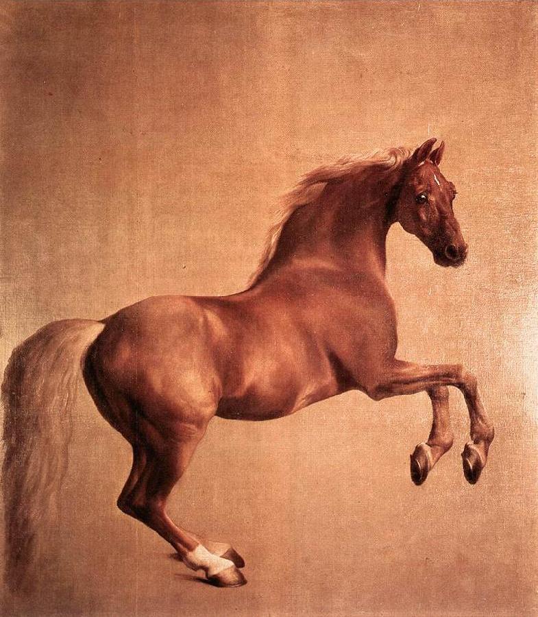 Whistlejacket r