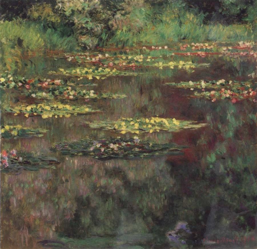 Water-Lilies