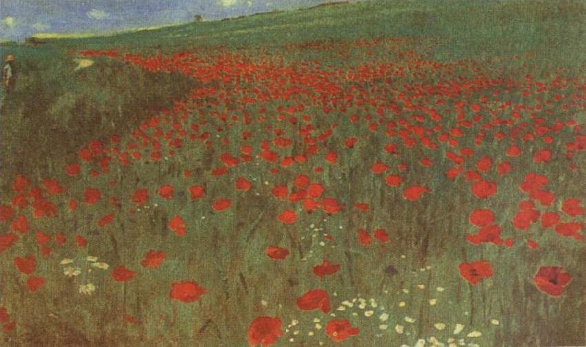 A Field of Poppies