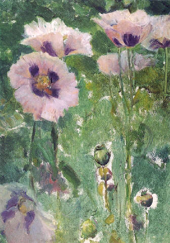 Lavender poppies