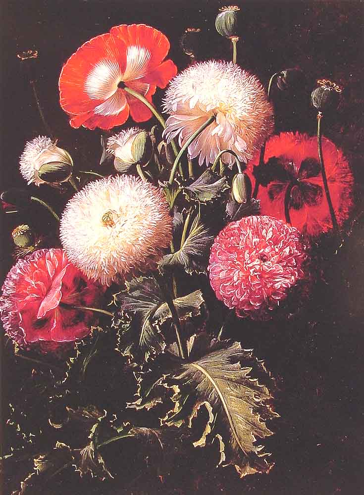 Still Life with Pink Red and White Poppies